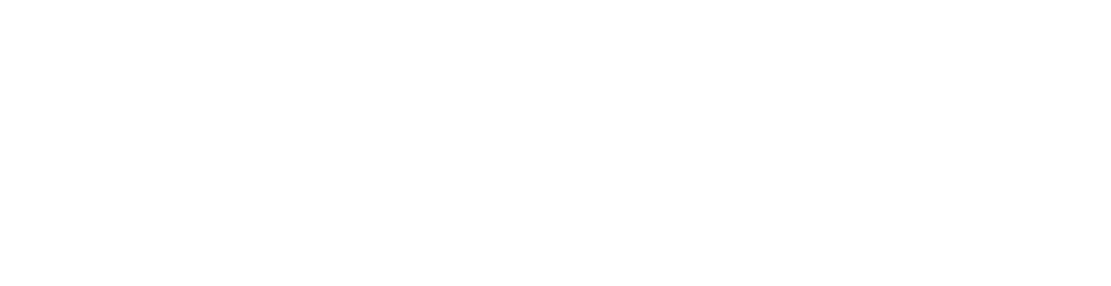 ZZSS